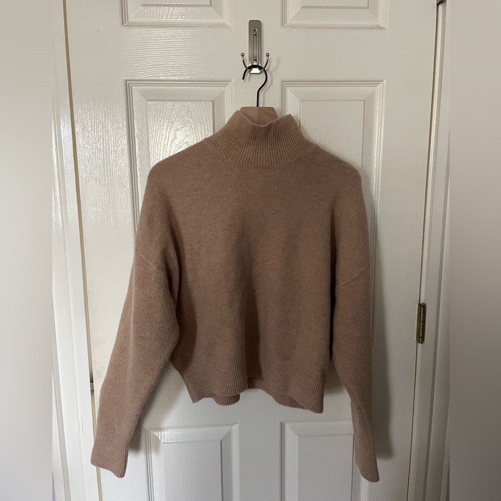 Zara Turtleneck Sweater